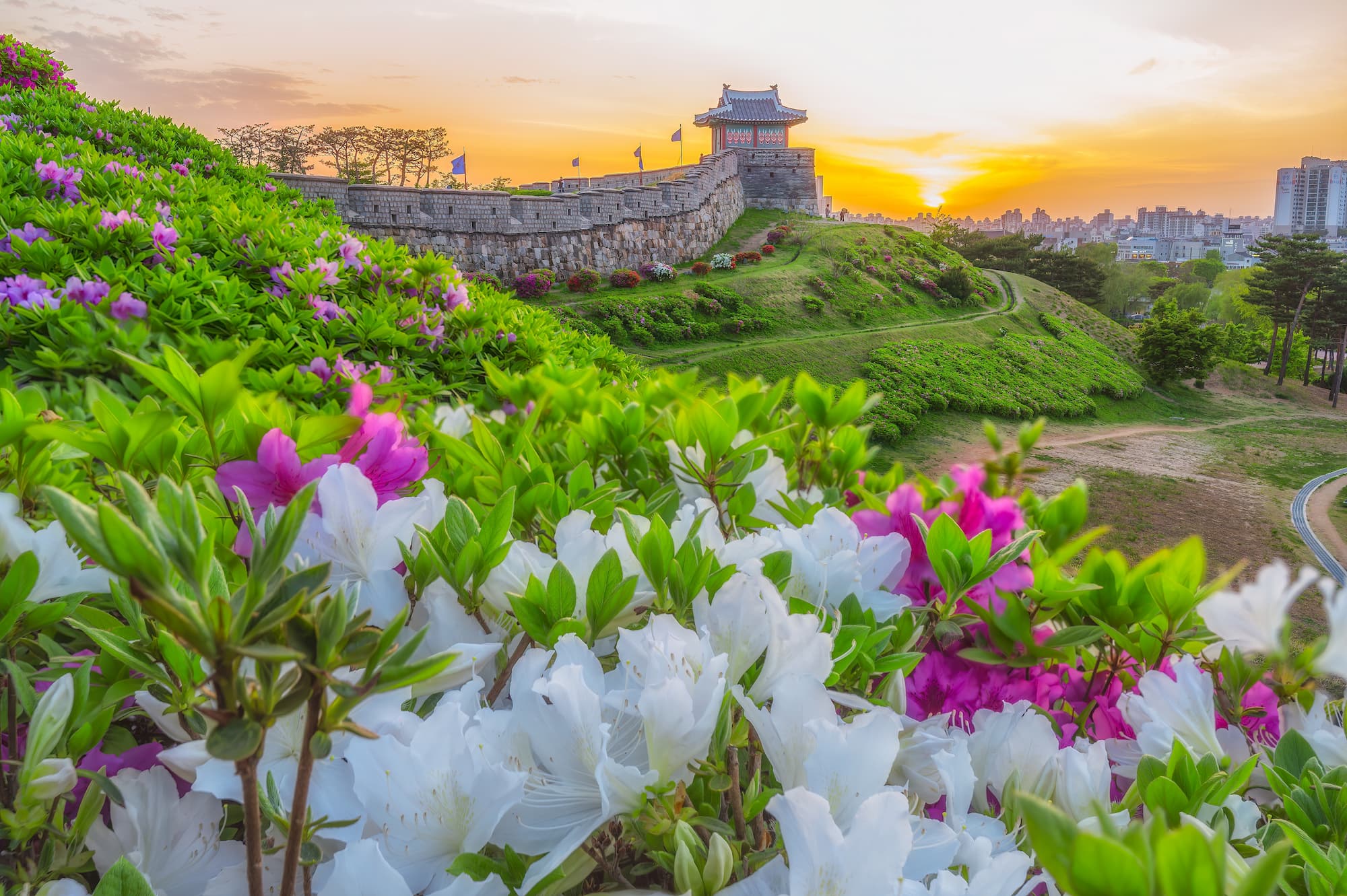 Suwon - South Korea Travel Guide - Japanspecialist