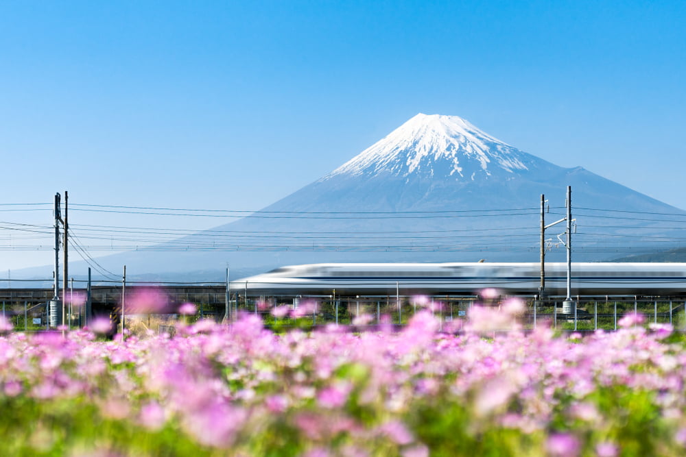 special tours japon