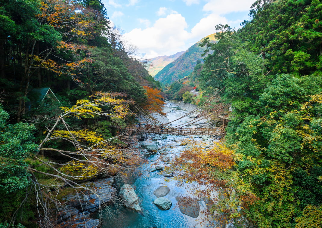 Kazurabashi, old wooden bridge in the forest of Tokushima