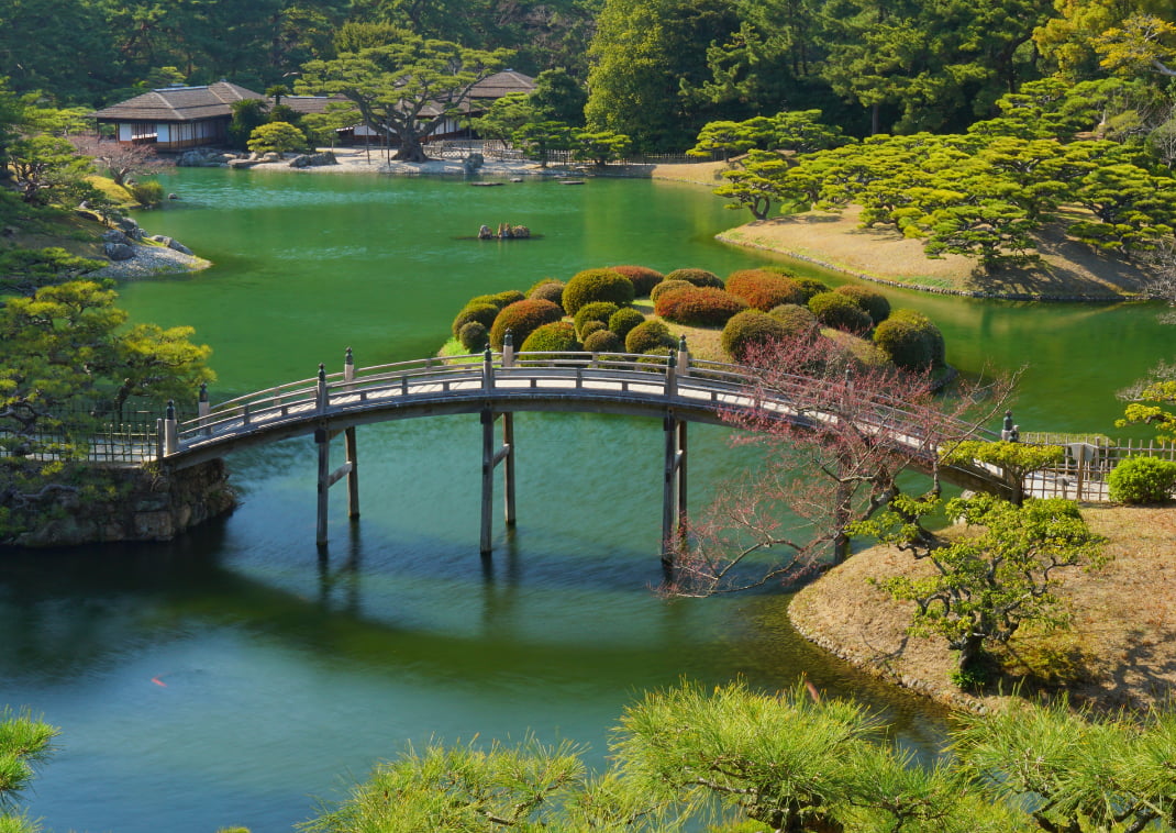 Garden with a pond and a bridge in Japan