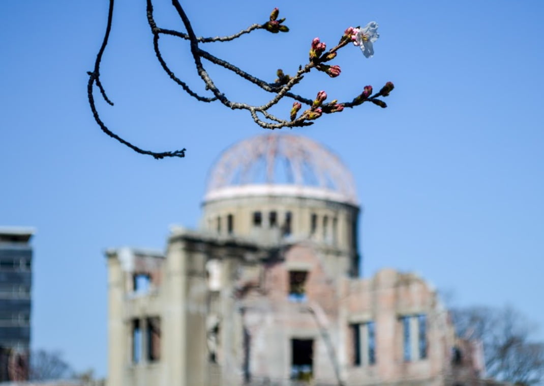 The first sakura in Peace Park with the dome behind in Hiroshima