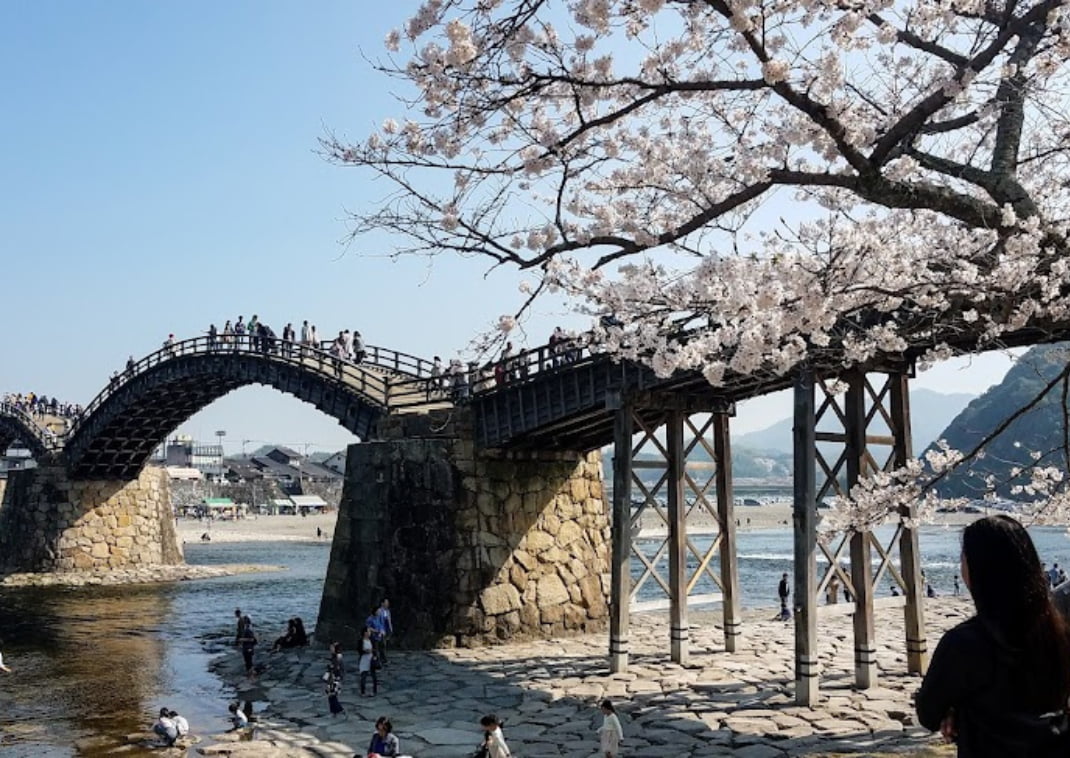 People walking around Kintai Bridge during cherry-blossom Sakura season, Iwakuni.