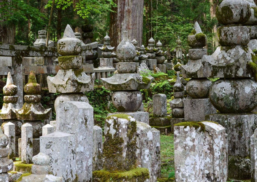 Old mausoleums at the cemetery in an ancient forest