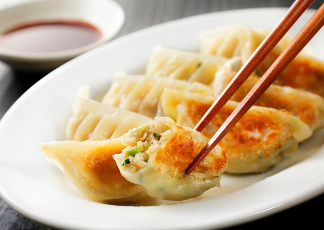 Delicious Japanese pan-fried gyoza being held by a pair of chopsticks