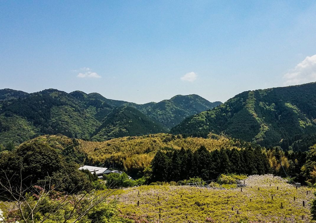 View from the lookout at the end of the Kawachi Garden path, to see wisteria in Japan