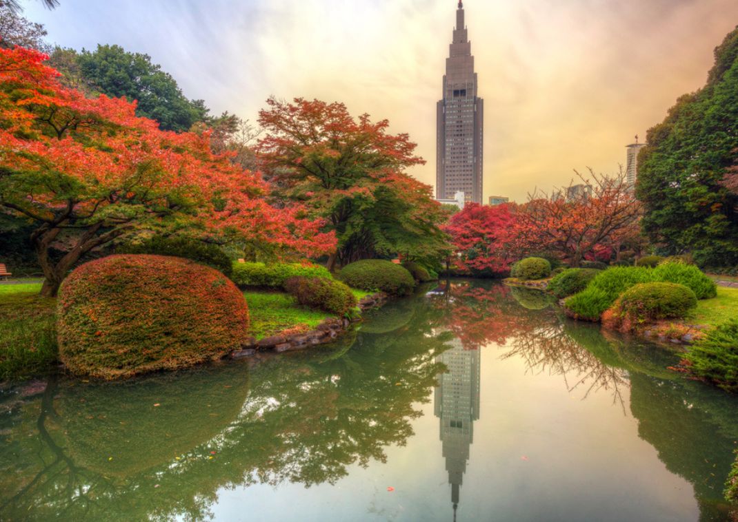  Shinjuku Park