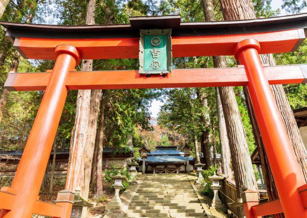 A large traditional red torii marks the entrance to a Shinto shrine, surrounded by tall trees and leading to a stone staircase lined with lanterns
