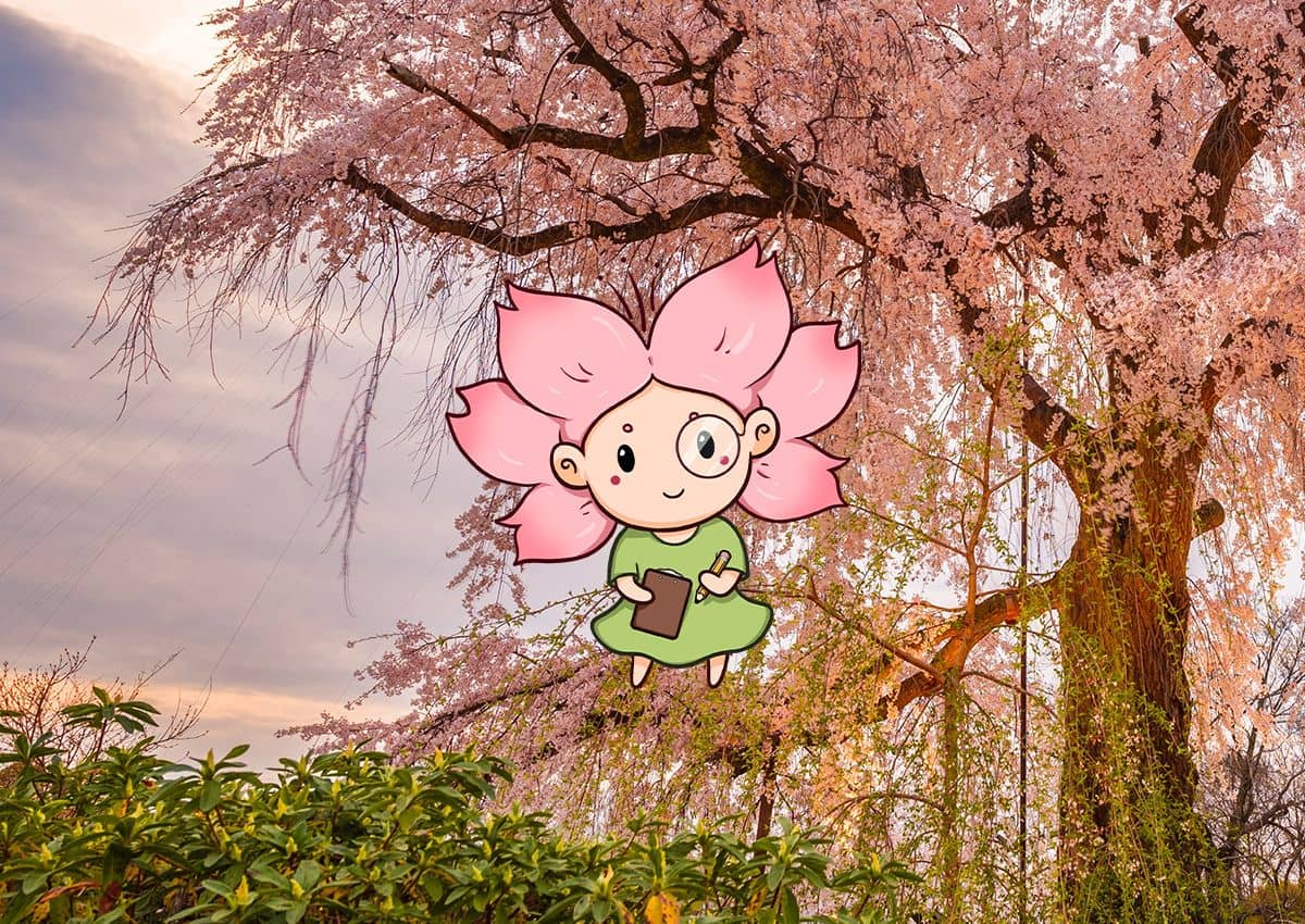 Mono-chan mascot against a cherry blossom tree