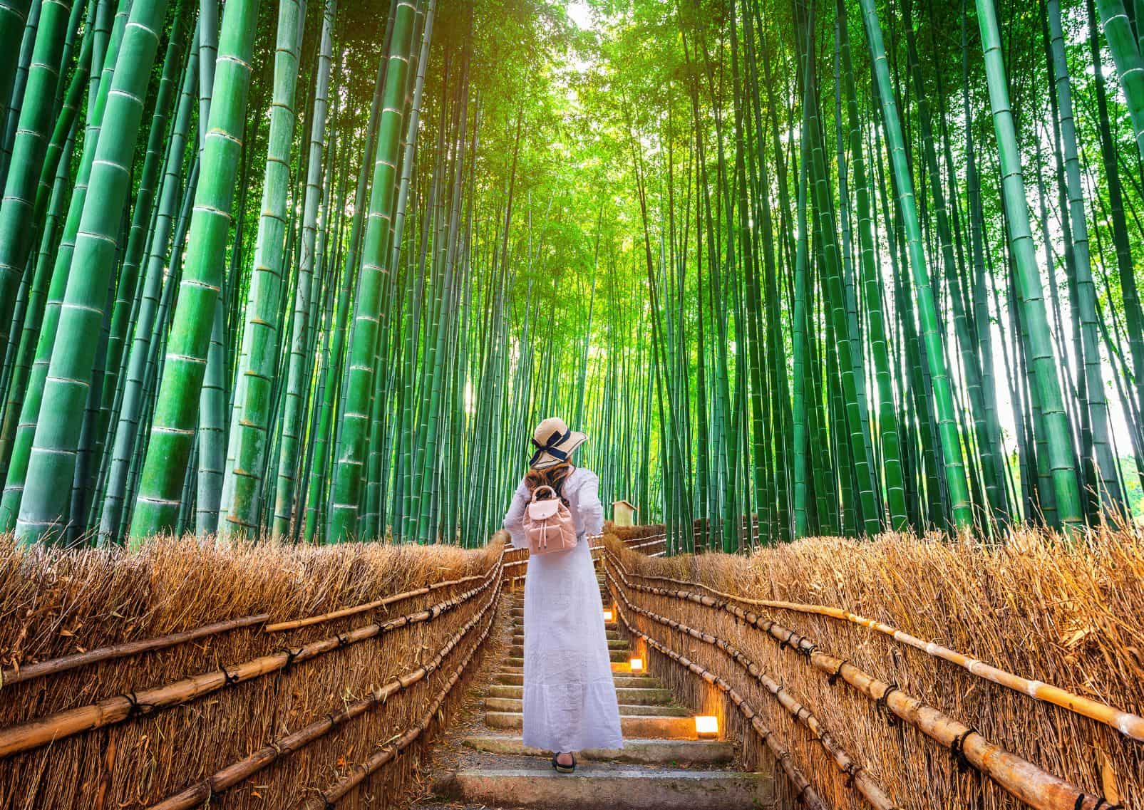 : Lady walking through arashiyama bamboo forest, Kyoto, Japan