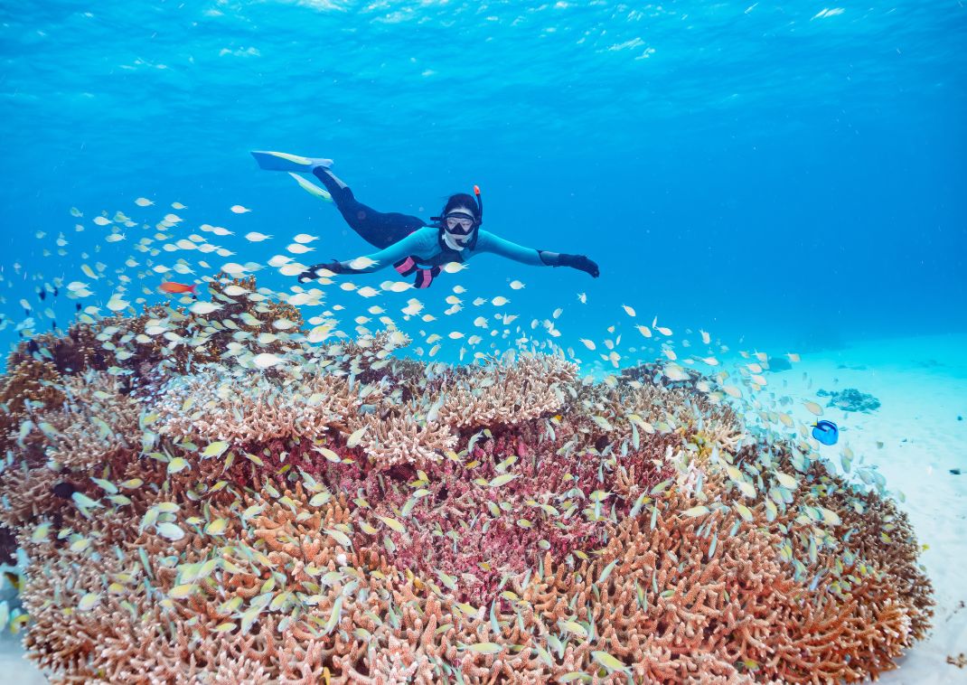  Snorkelling at coral reef in Okinawa