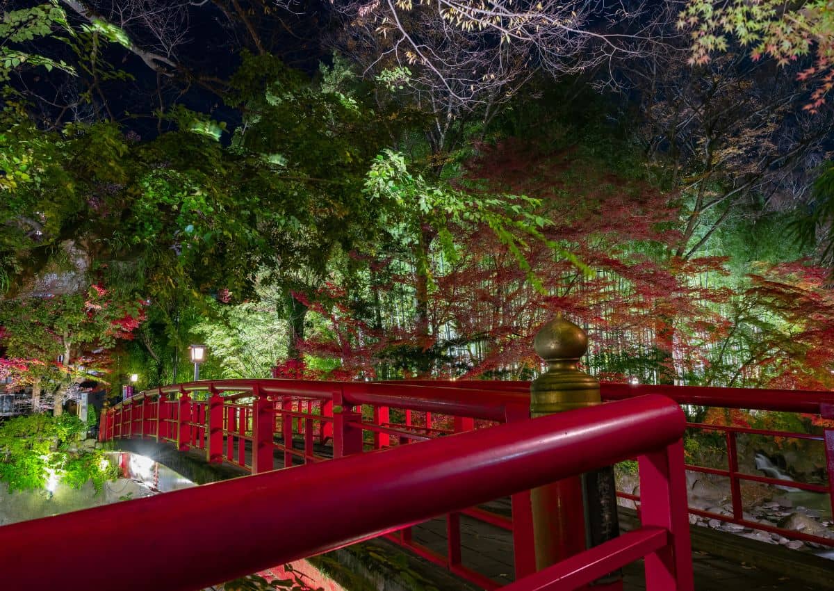 Night autumn leaves scenery of Shuzenji Onsen