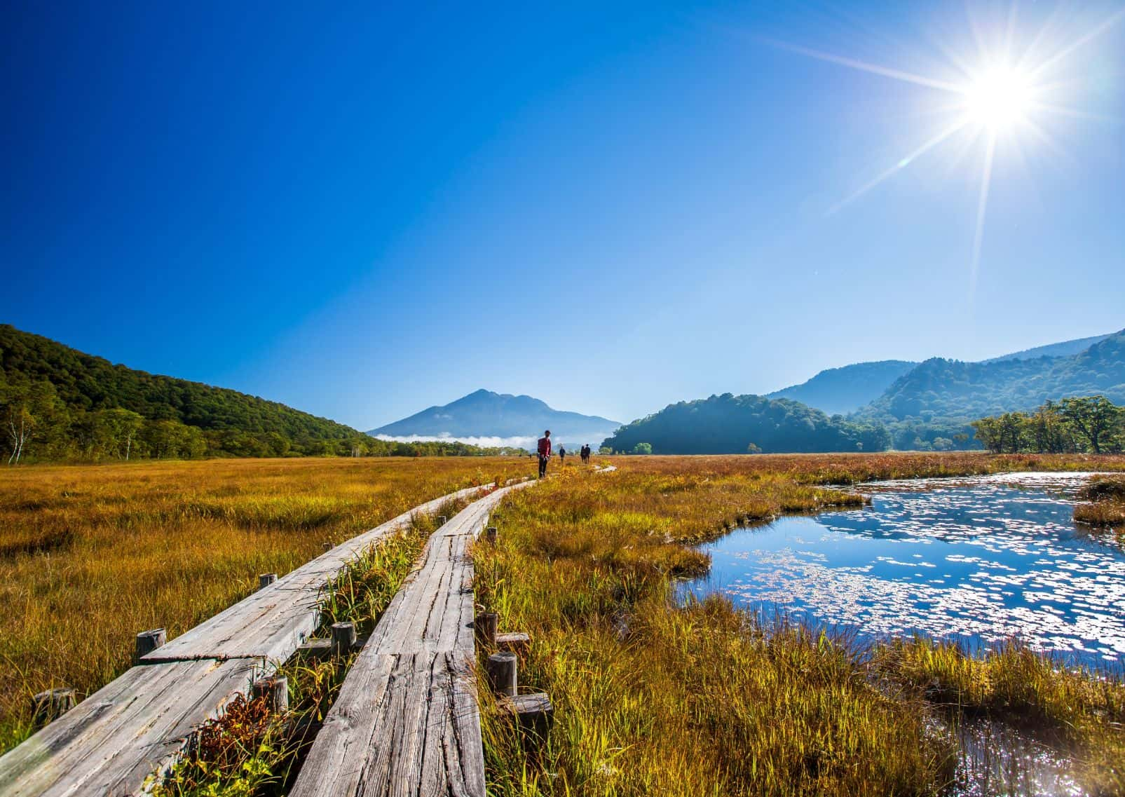 Scenery of Ozegahara, Gunma Prefecture