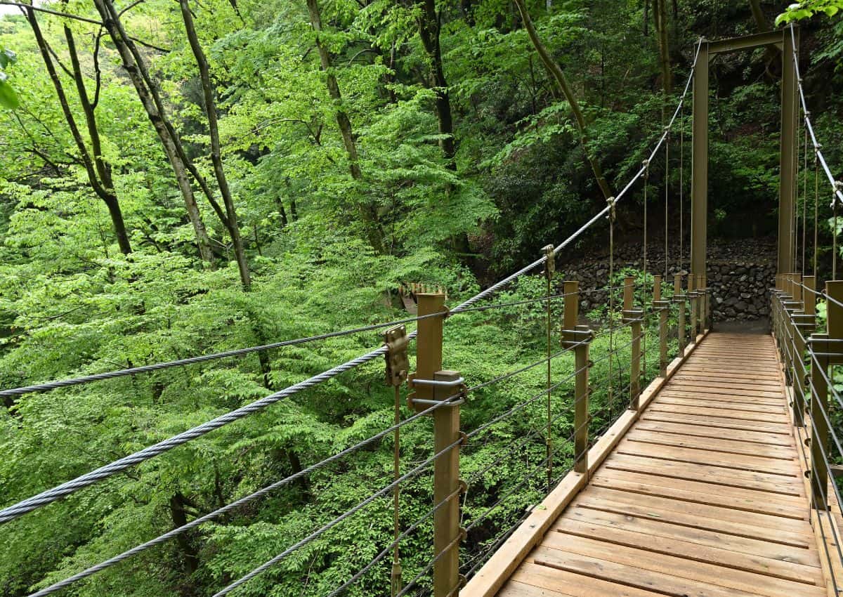 Hiking trail suspension bridge on Mt Takao, Tokyo