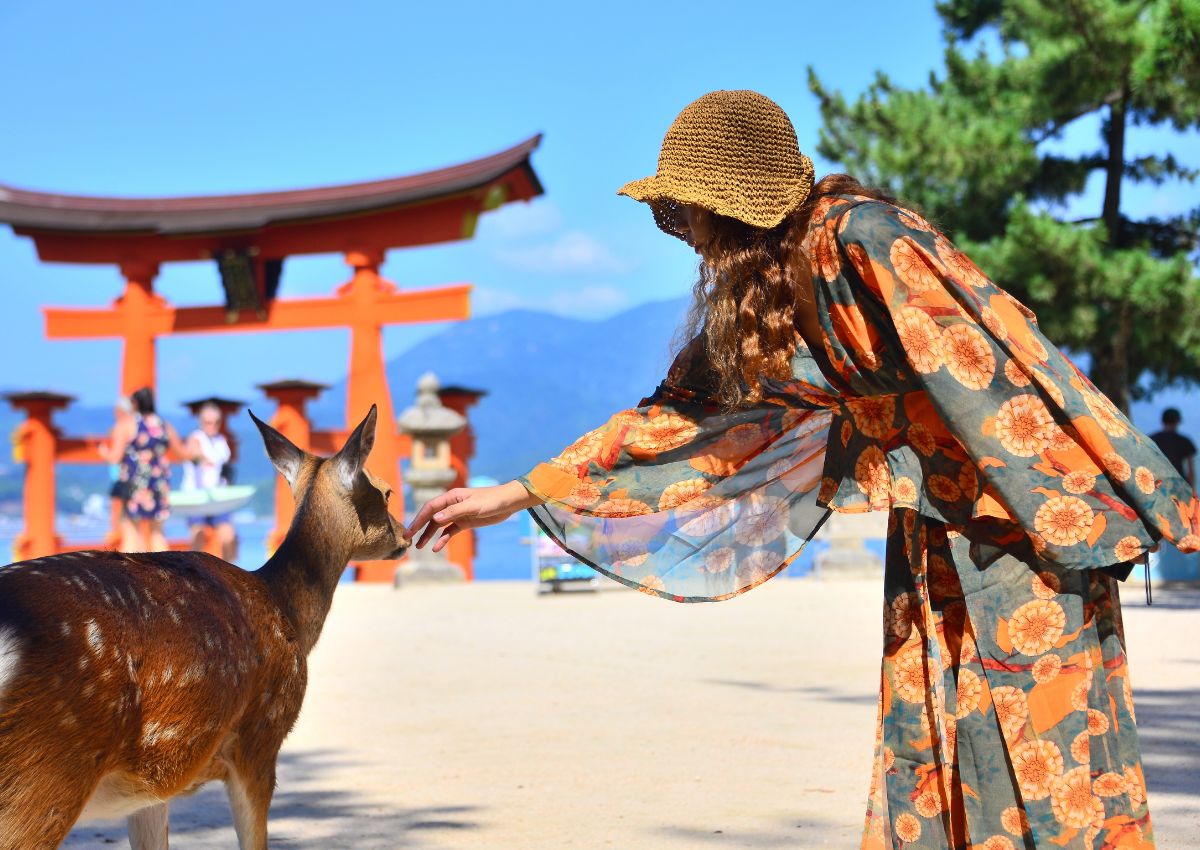 Girl petting deer on Miyajima Island