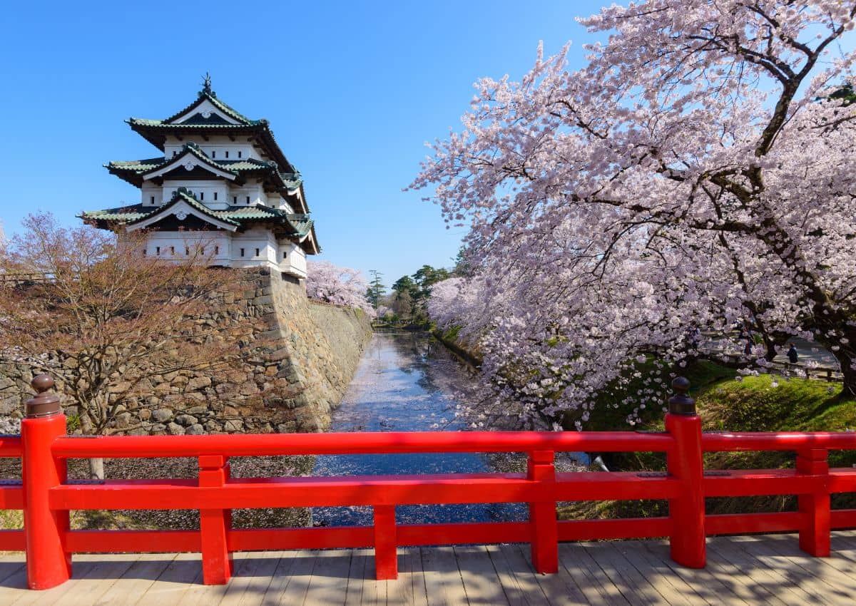 Hirosaki Castle during cherry blossom season in Aomori, Japan