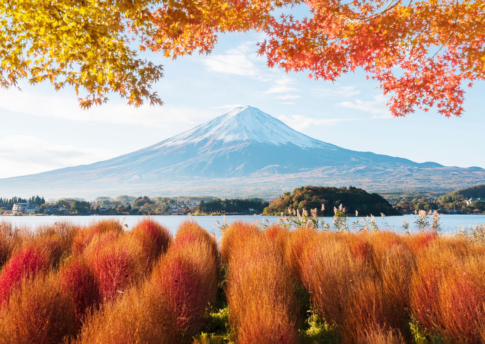  Autumn leaves around Mount Fuji