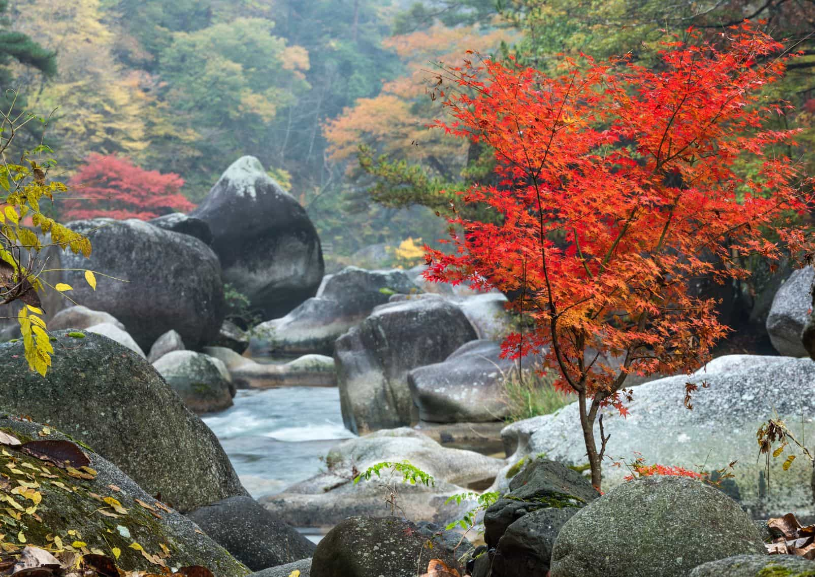 Shosenkyo Gorge valley in autumn, Kofu, Yamanashi Prefecture, Japan