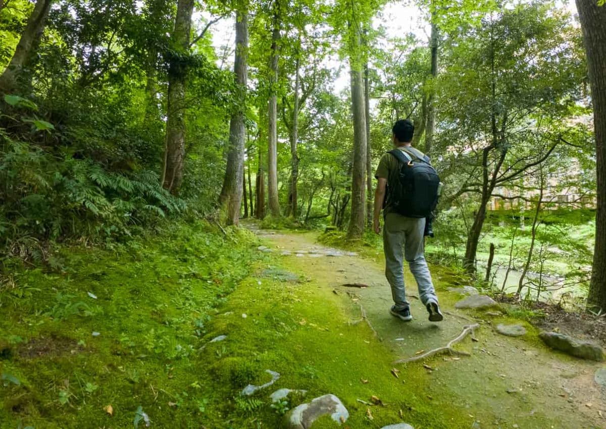 Hiker enjoying forest therapy in Japan