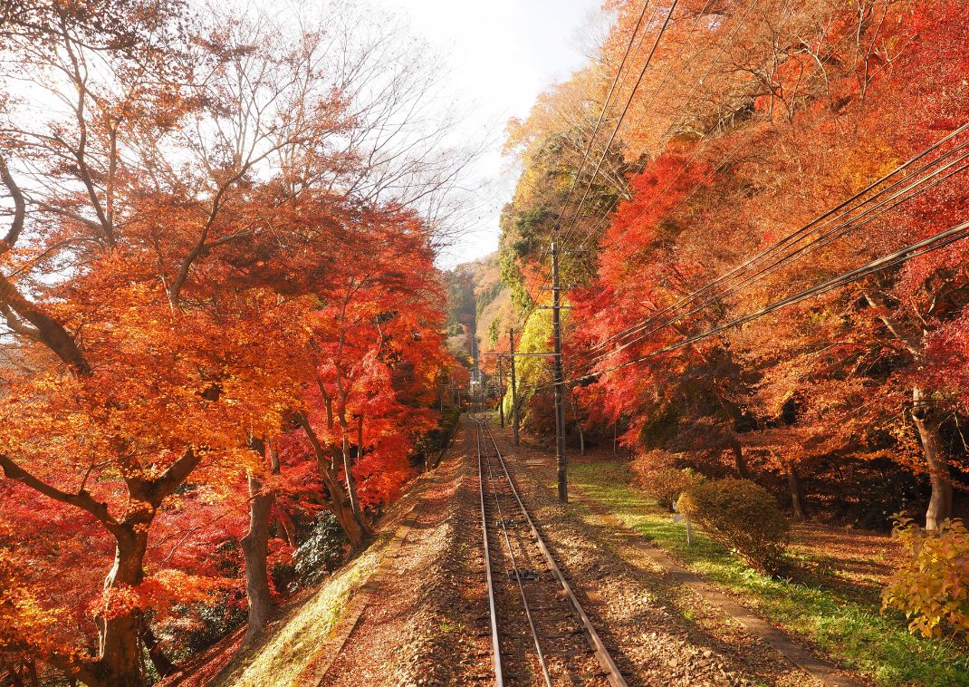 Autumn in Mt. Takao, Hachioji, Japan