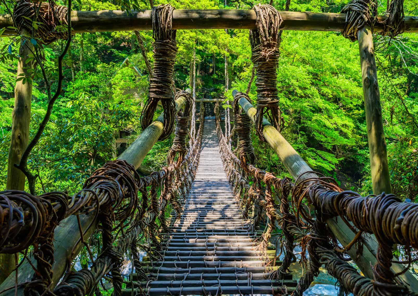 Iya Valley, Tokushima, Japan at one of the vine bridges