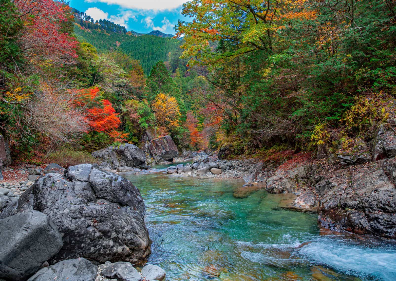 River in autumn, Japan