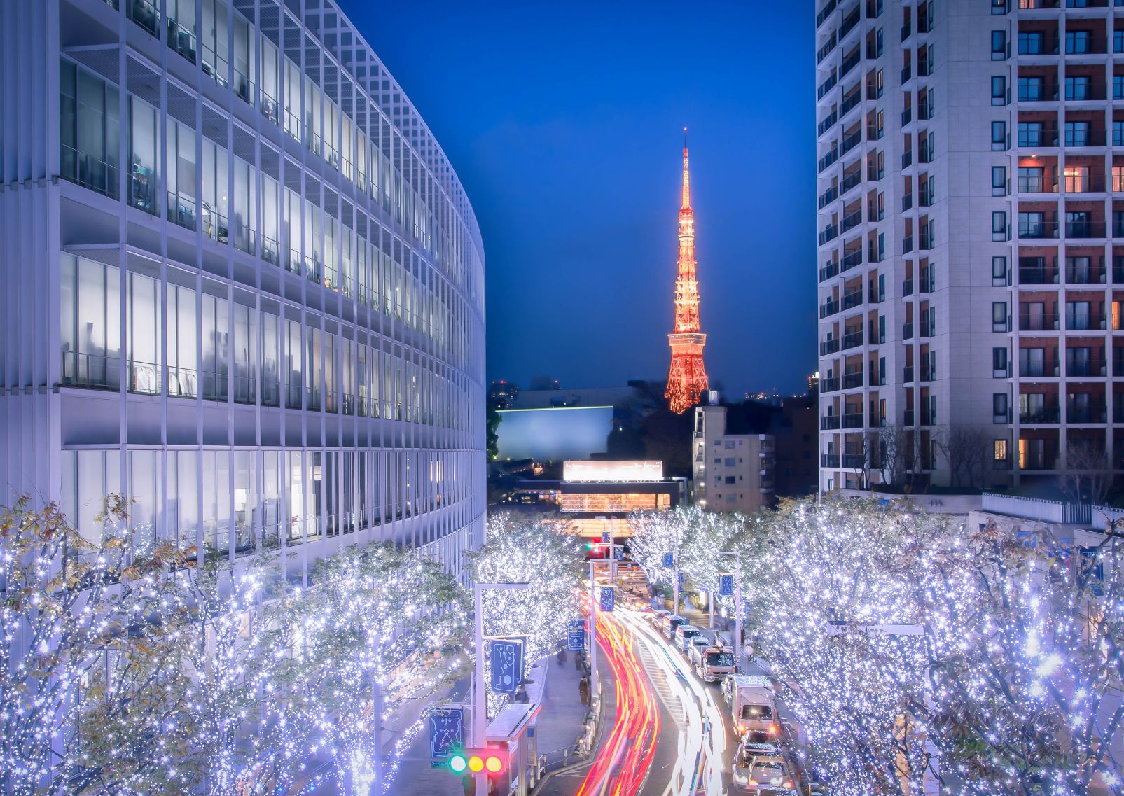 Winter Illumination in Roppongi, Tokyo, Japan