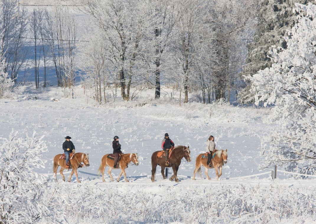 Horseriding in the snow