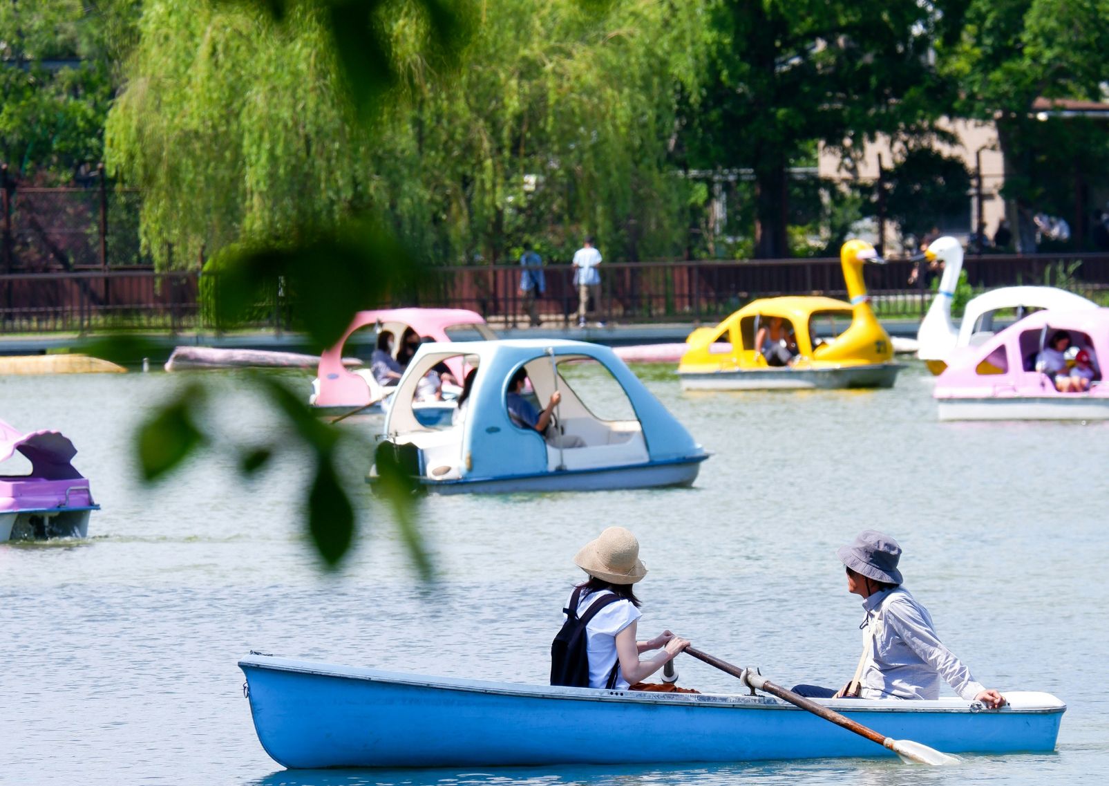 Couple boat in Ueno Park, Tokyo