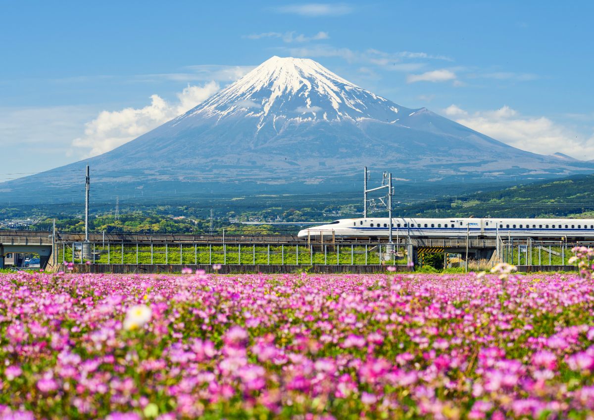 Shinkansen with Mt Fuji in Spring
