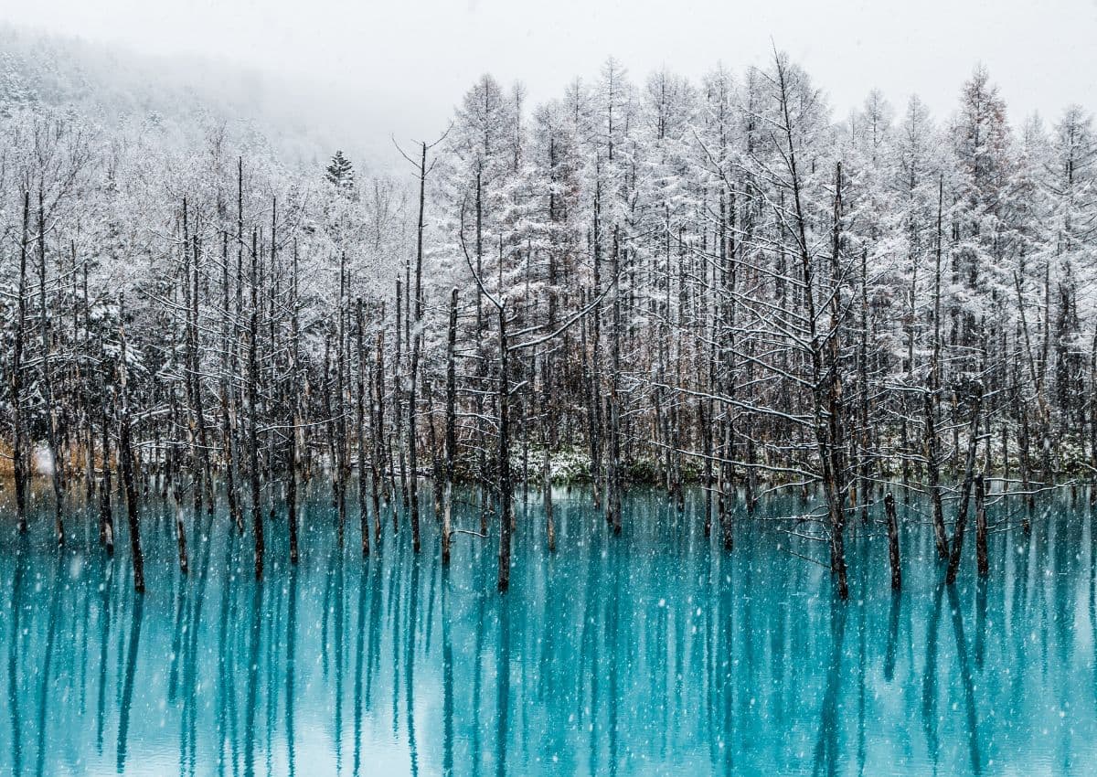 Blue Pond in winter, Biei, Hokkaido