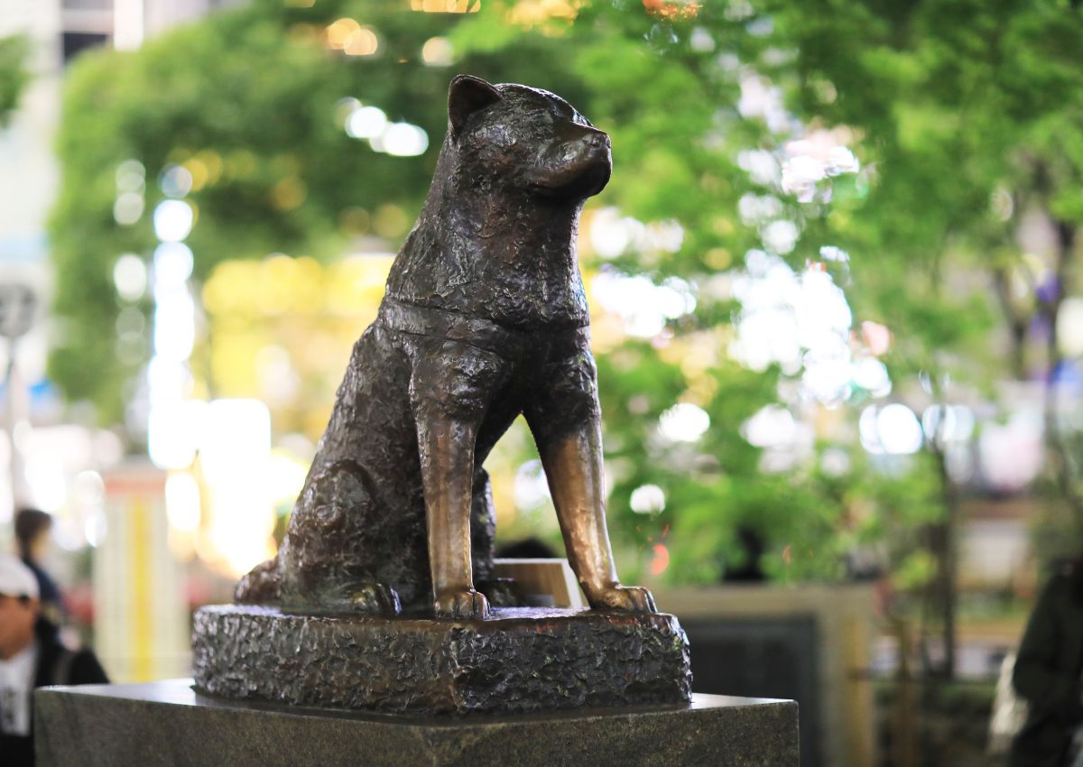 Hachiko statue in Shibuya