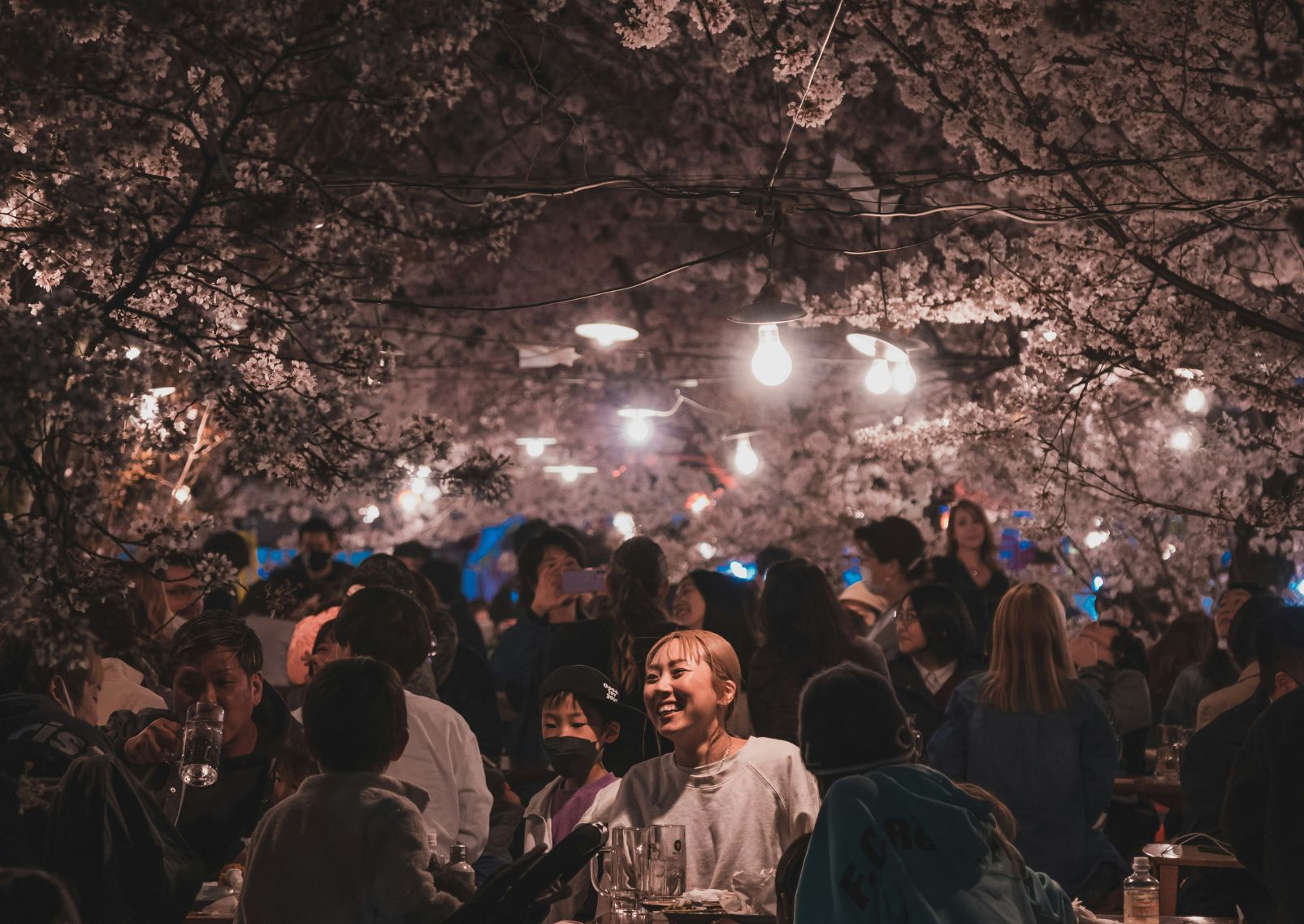 A group of people celebrating hanami, Kyoto, Japan