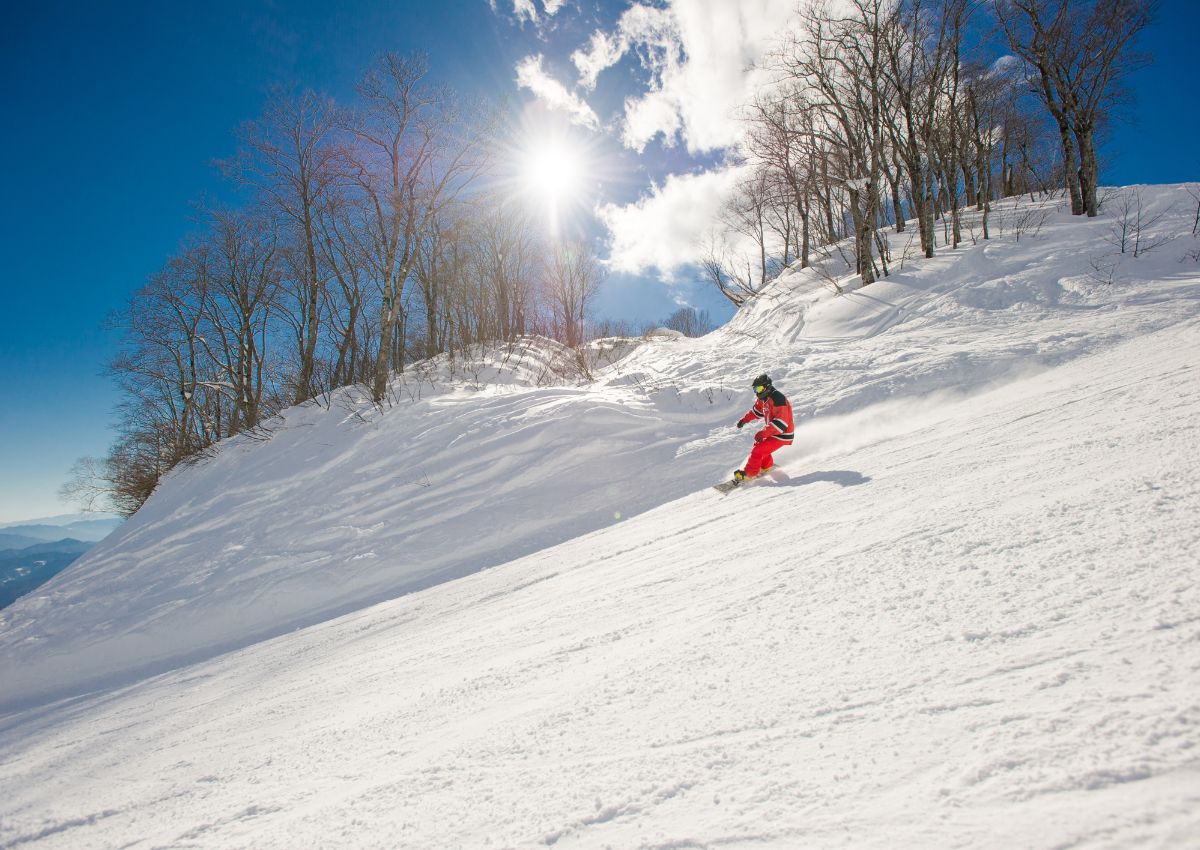 Skier carving on Japanese mountain in winter