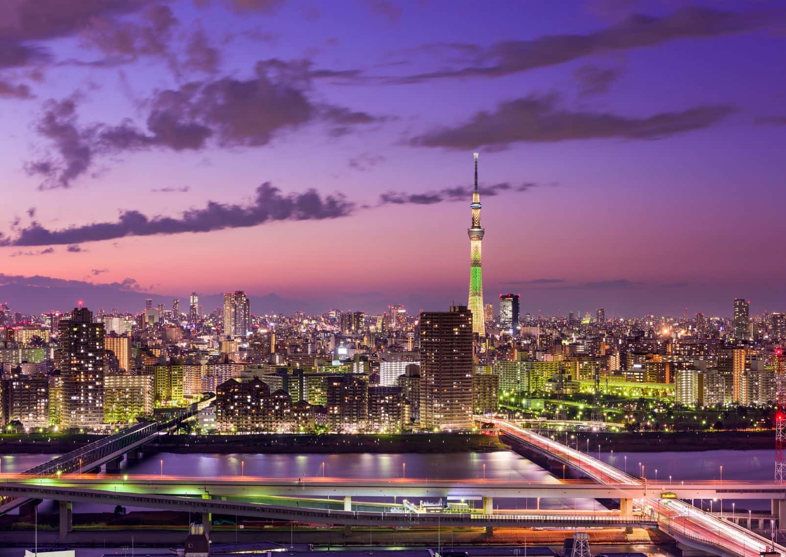 Tokyo Skytree with cherry blossoms at Sumida River Park, Tokyo