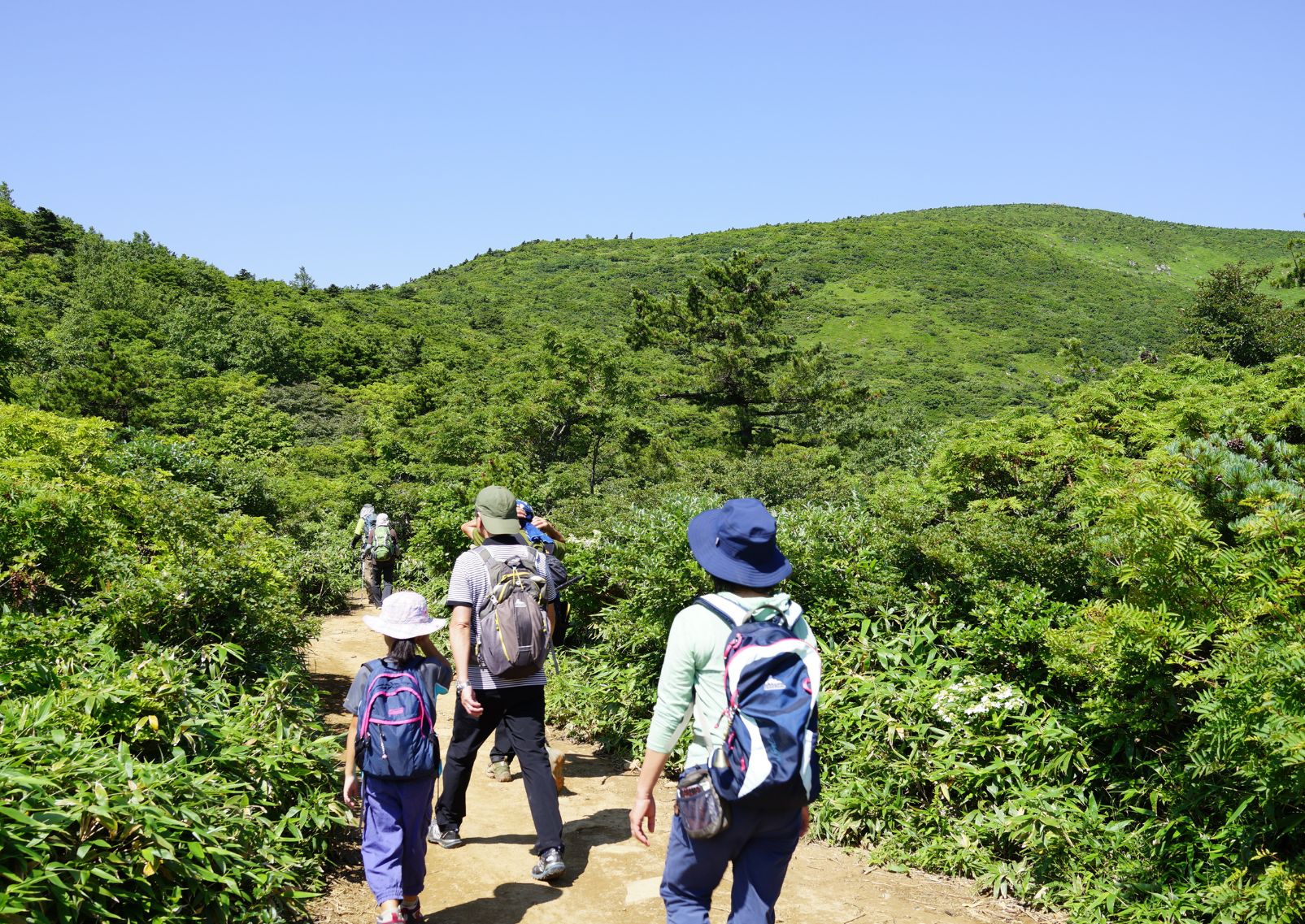  Hikers trekking on Mt Adatara, Fukushima, Japan