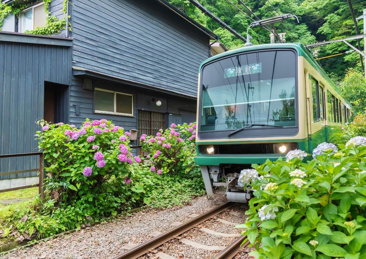 The Enoden Line running next to local houses, Kamakura