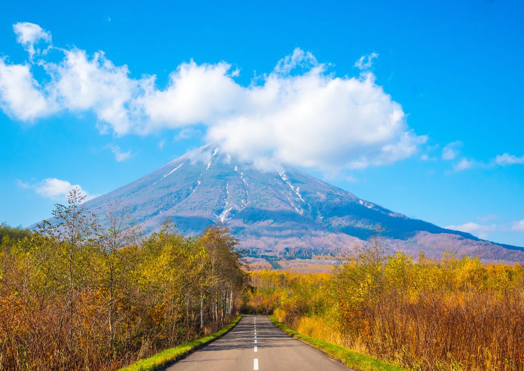 Road in Niseko, Hokkaido in Summer