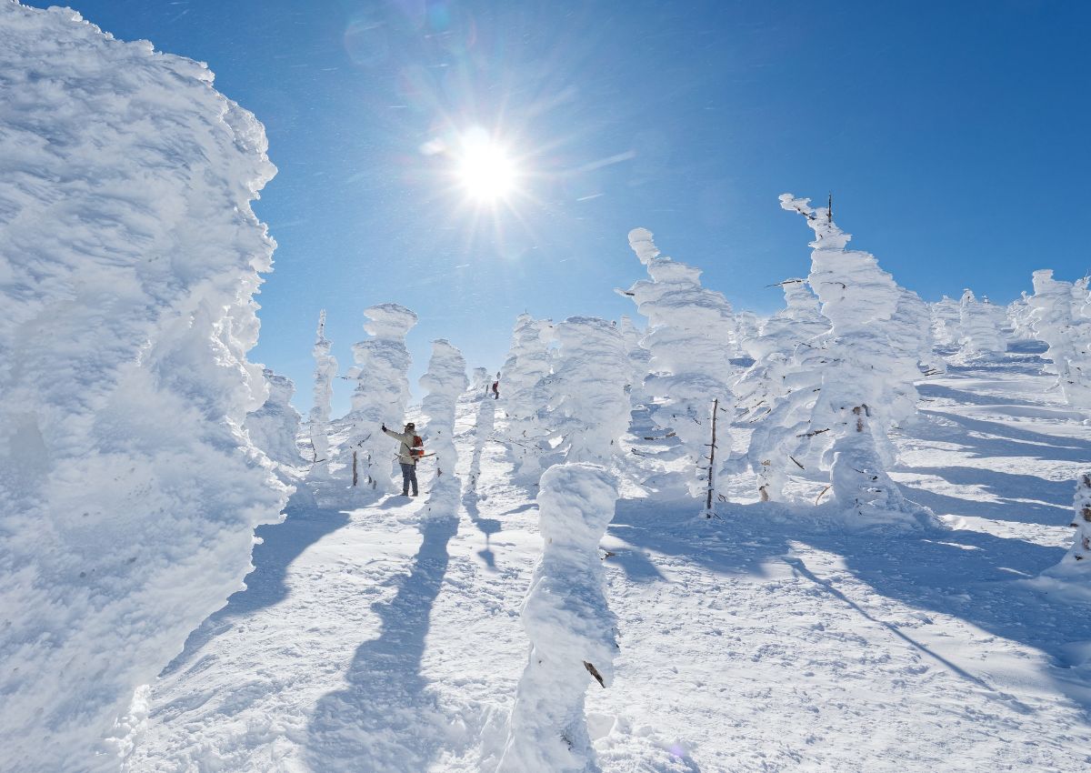Snow monsters in Yamagata, Japan