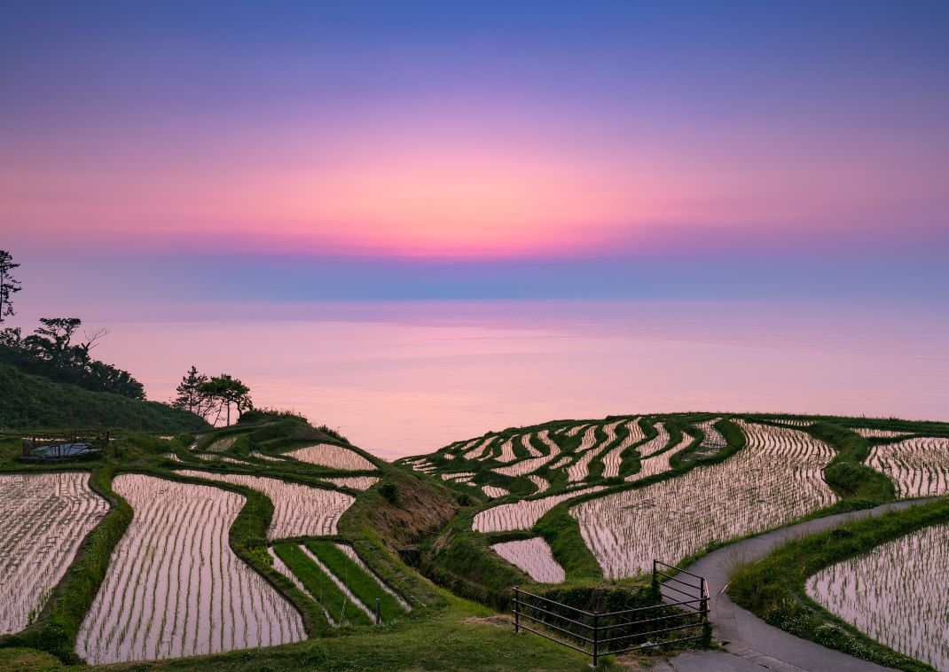 Shiroyone Senmaida rice terraces, Japan