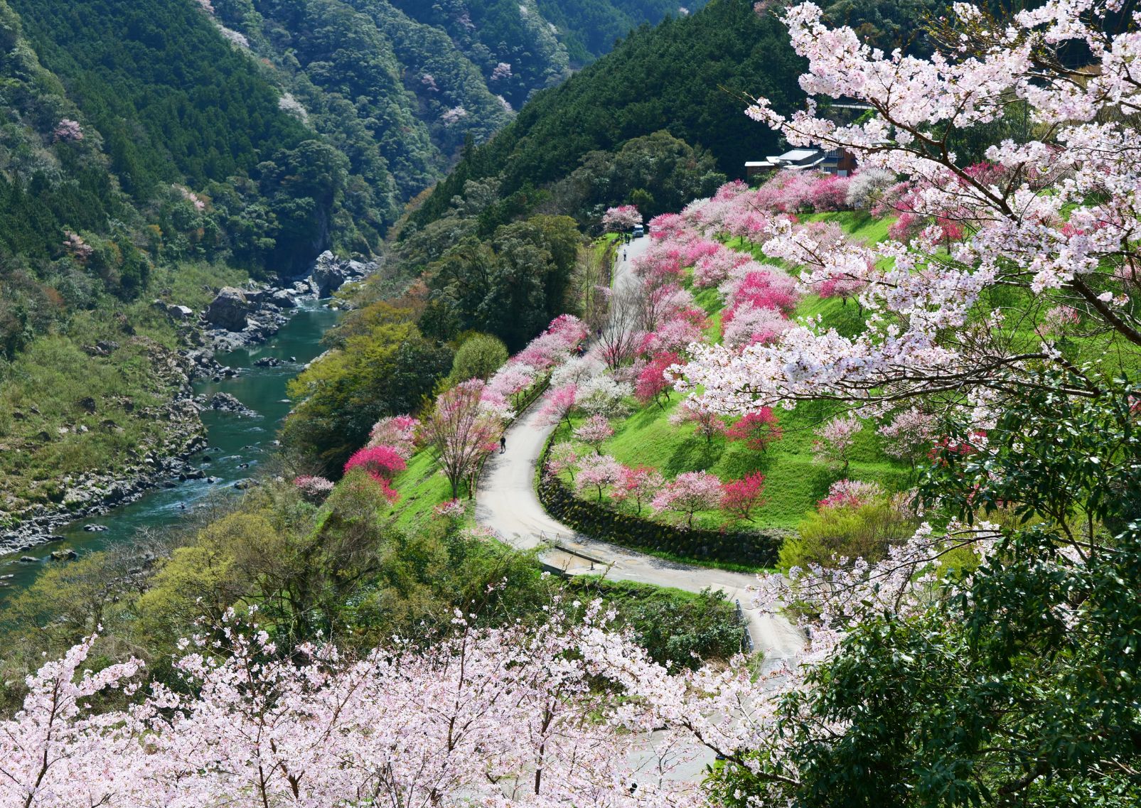  Natural mountain landscape of Kochi Prefecture in spring, Shikoku