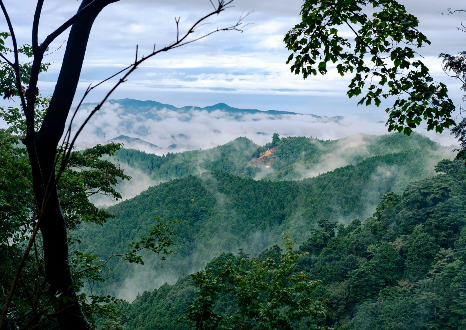 Early morning view of Mount Koya