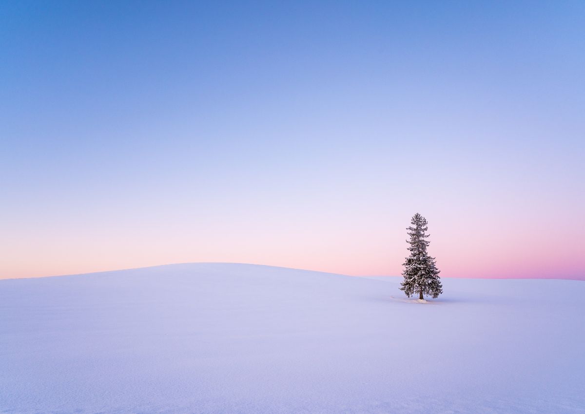 View of hill in Biei region in winter, Hokkaido