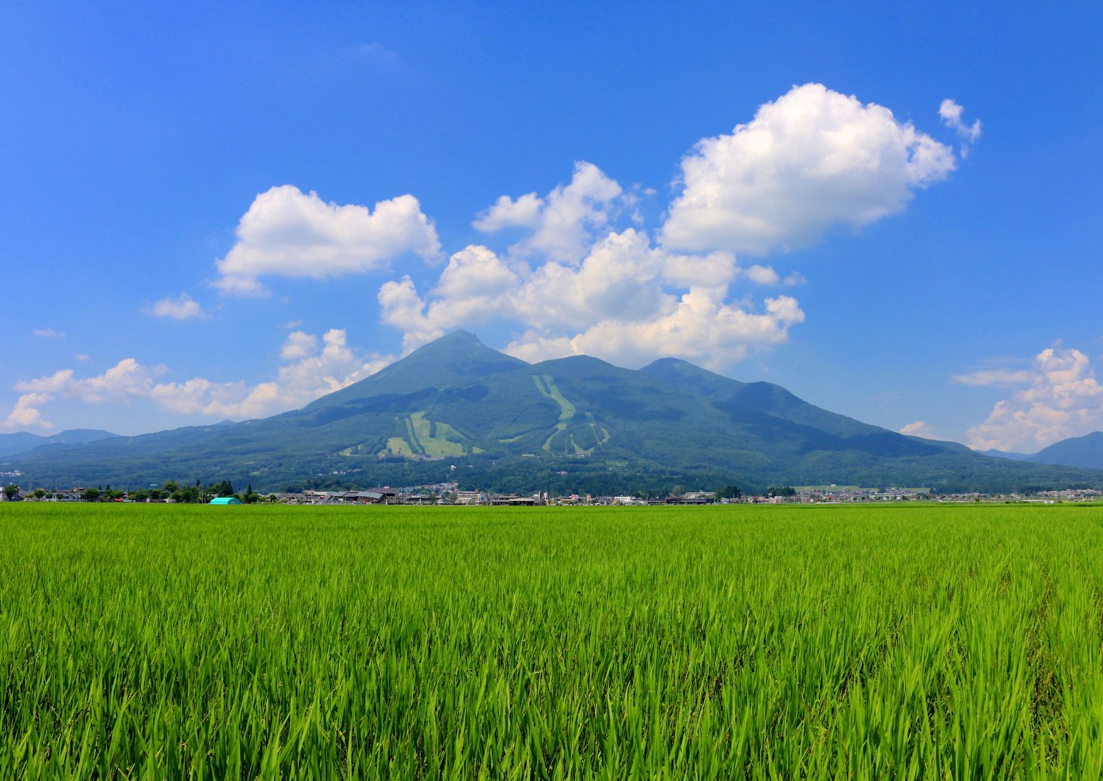 Green rice field and Mt Bandai in Fukushima, Japan