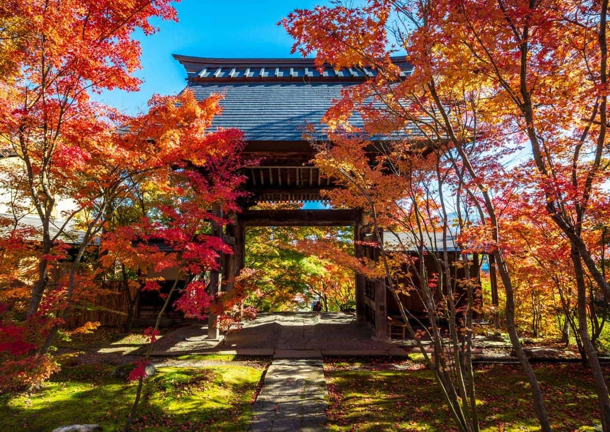 Autumn leaves in Japan around temple gate