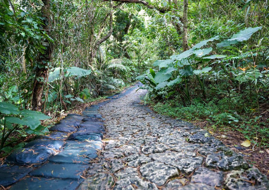 The path to Seifa Utaki prayer site, Okinawa