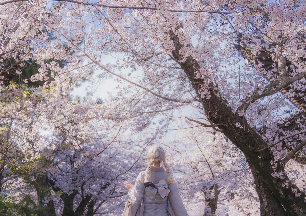  Tourist dressed in kimono, Kyoto, Japan