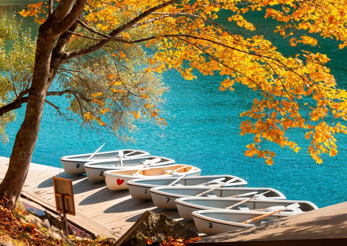 Autumn leaves at Goshikinuma ponds, Fukushima, Japan