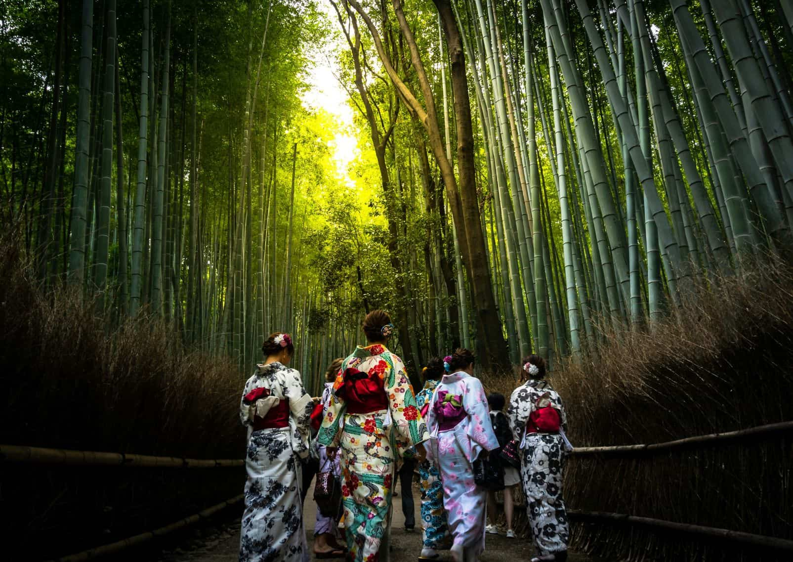 Girls dressed in kimono in Arashiyama Bamboo Grove, Kyoto, Japan