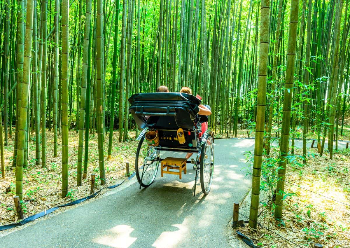 Rickshaw ride through the Arashiyama Bamboo Grove, Kyoto