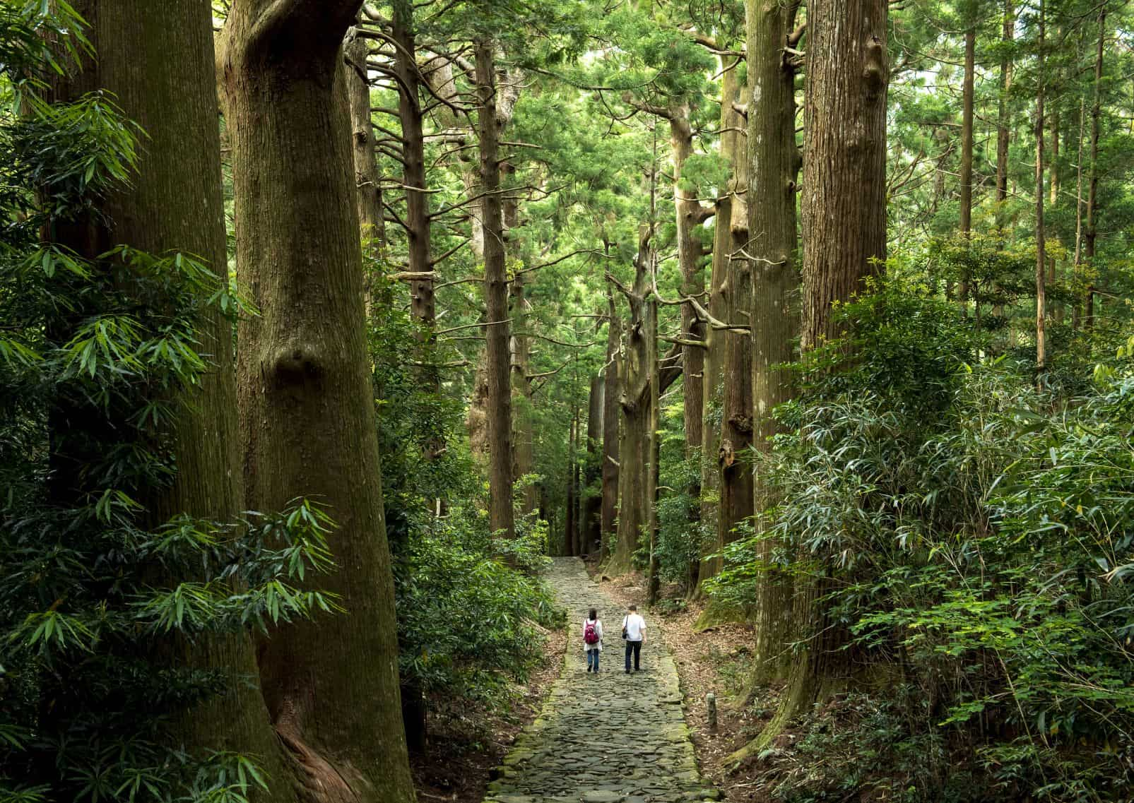 Kumano Kodo - Old pilgrimage road in Japan